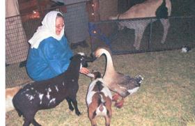 Living Nativity 2013 animals